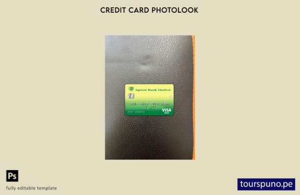 listo para imprimir plantilla frontal de aspecto fotográfico de tarjeta visa  29